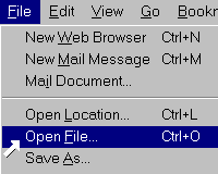 Open a local file