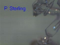 sterling_6