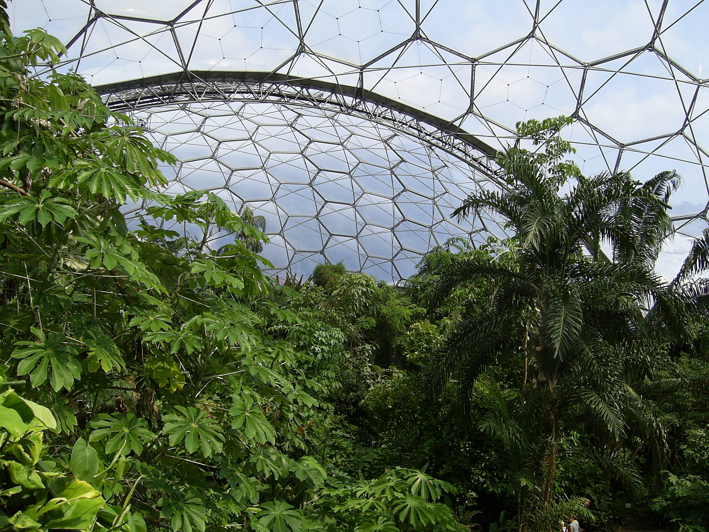 Inside