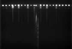 evolutionary toxicology