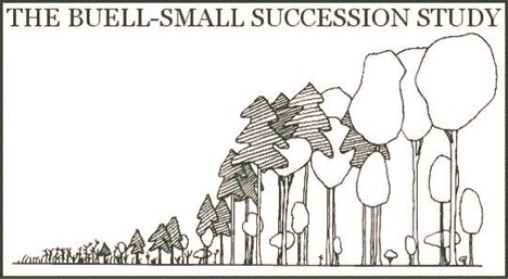 image of the BSS Logo