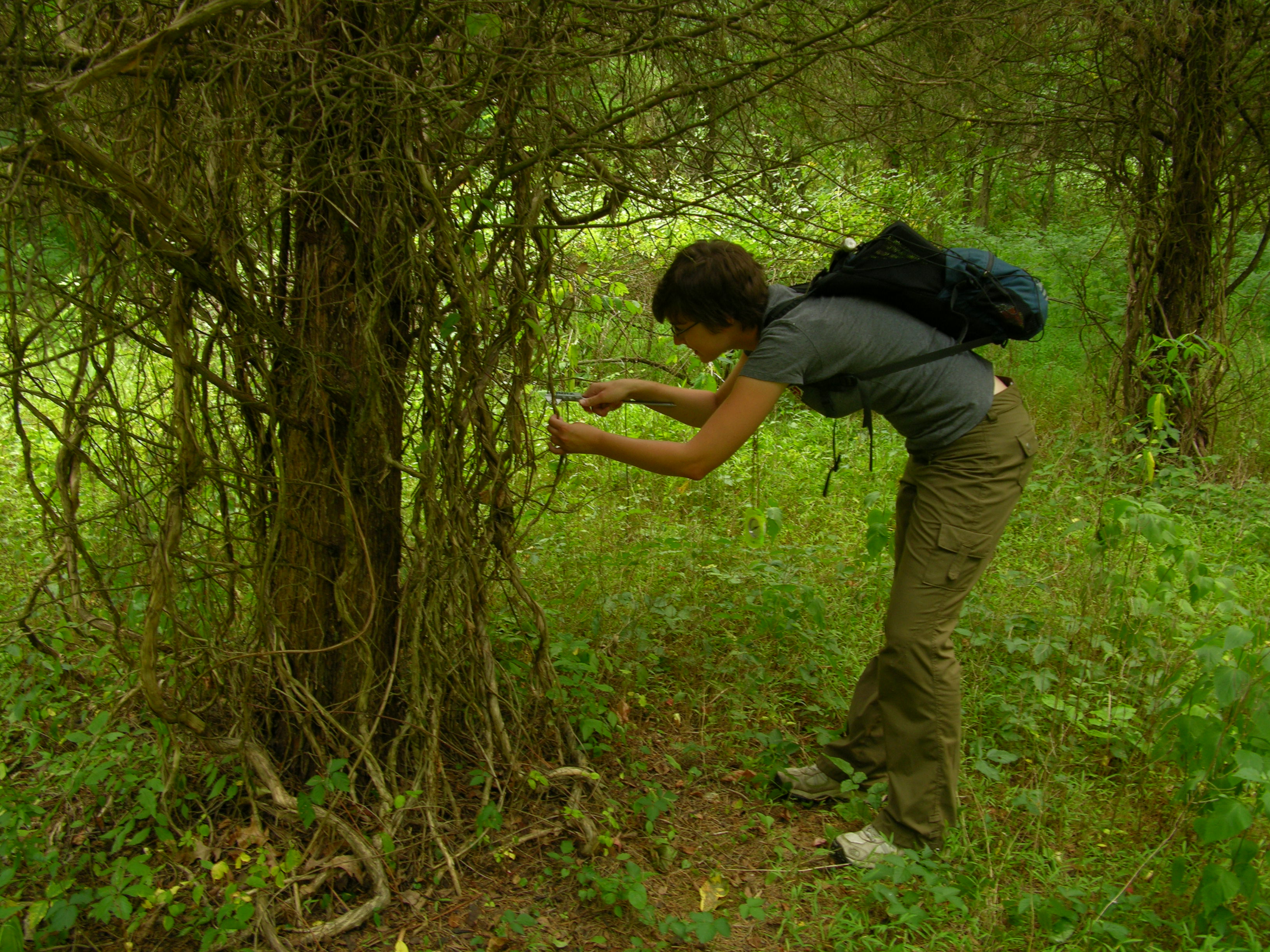 image of person sampling