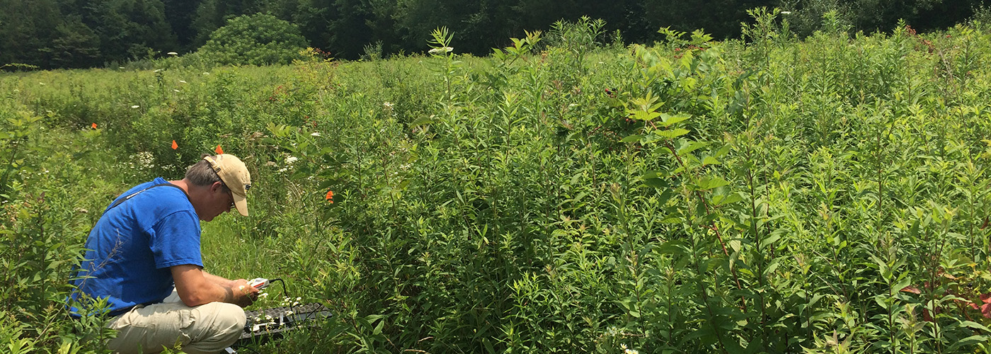 image of field work