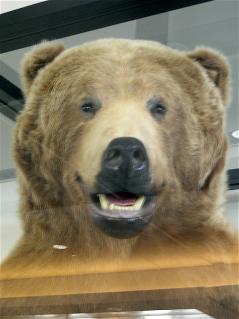 DSCN0003.JPG