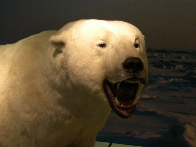 DSCN0005.JPG