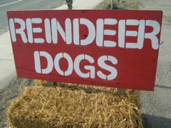 DSCN0001.JPG