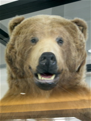 DSCN0003.JPG