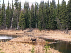 DSCN0023.JPG