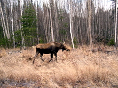 DSCN0025.JPG