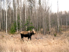 DSCN0026.JPG