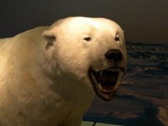DSCN0005.JPG