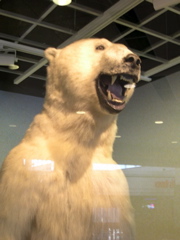 DSCN0006.JPG