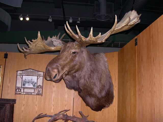DSCN0014.JPG