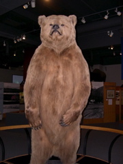 DSCN0011.JPG