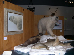 DSCN0012.JPG