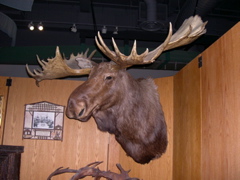 DSCN0014.JPG