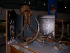 DSCN0015.JPG