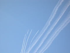 DSCN0021.JPG