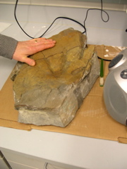 DSCN0007.JPG