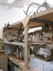 DSCN0010.JPG