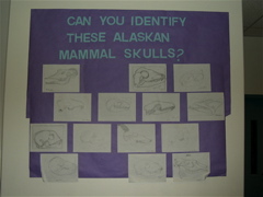 DSCN0007.JPG