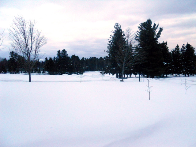 DSCN1385.JPG