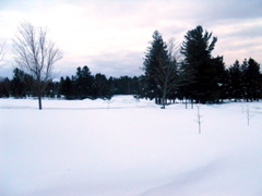DSCN1385.JPG