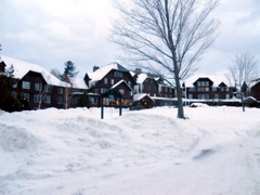 DSCN1386.JPG