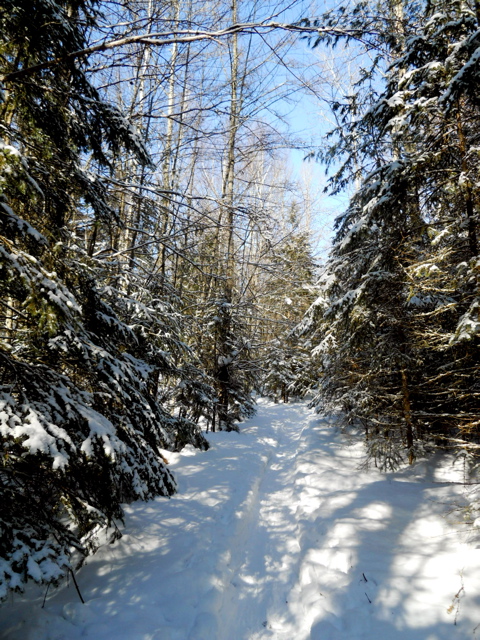 DSCN1456.JPG
