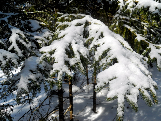 DSCN1457.JPG