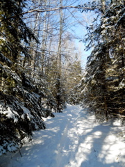DSCN1456.JPG
