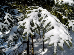 DSCN1457.JPG