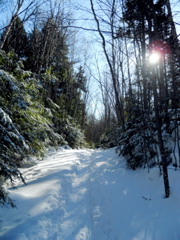 DSCN1460.JPG