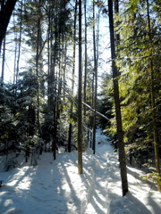 DSCN1461.JPG