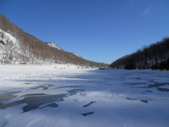 DSCN1431.JPG