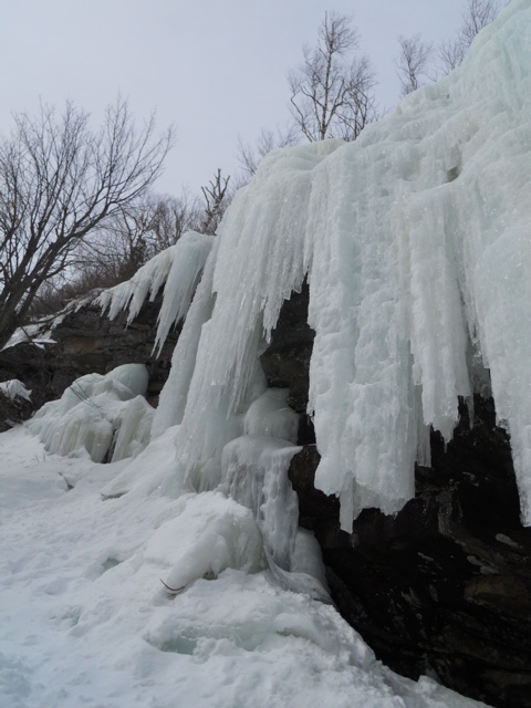 DSCN1506.JPG