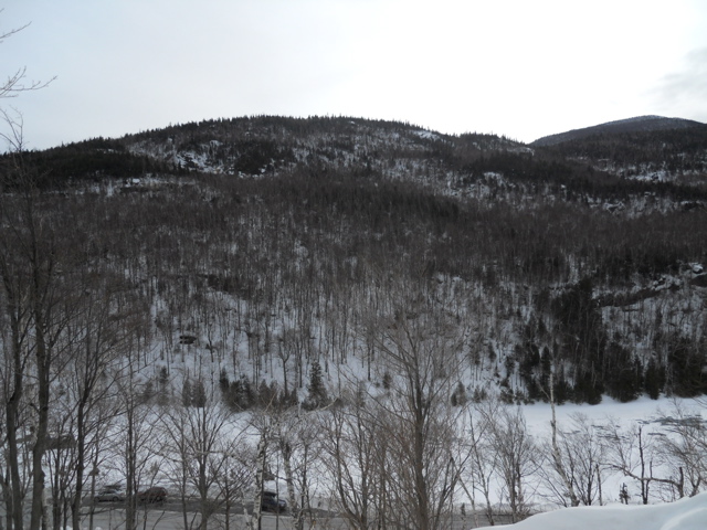 DSCN1510.JPG