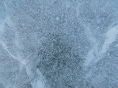 DSCN1543.JPG