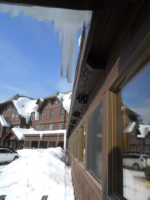 DSCN1556.JPG