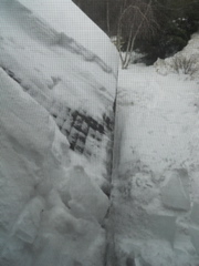 DSCN1565.JPG
