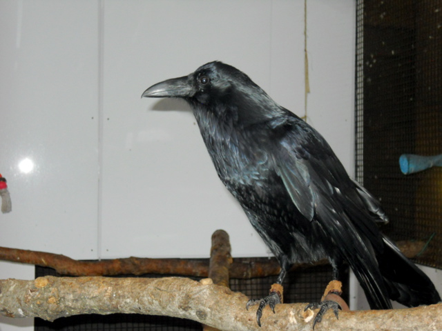 DSCN1585.JPG
