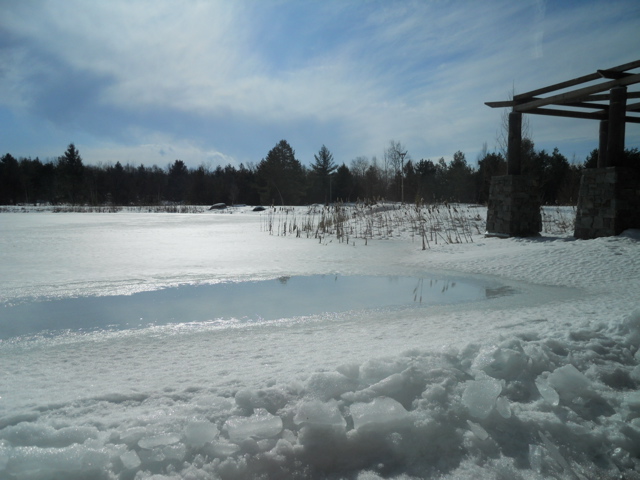 DSCN1619.JPG
