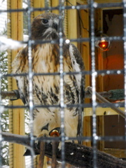 DSCN1582.JPG