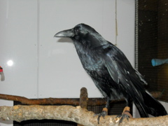 DSCN1585.JPG
