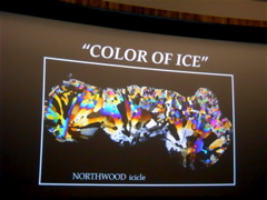 DSCN1592.JPG