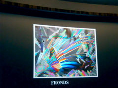 DSCN1605.JPG