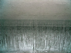 DSCN1572.JPG