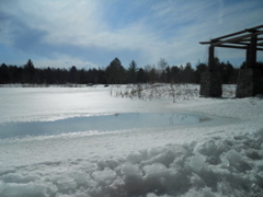 DSCN1619.JPG
