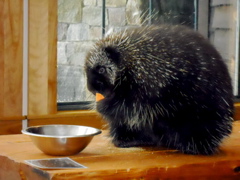 DSCN1579.JPG
