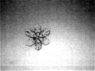 tia_1207_5